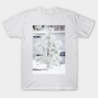 Small tree covered in snow T-Shirt